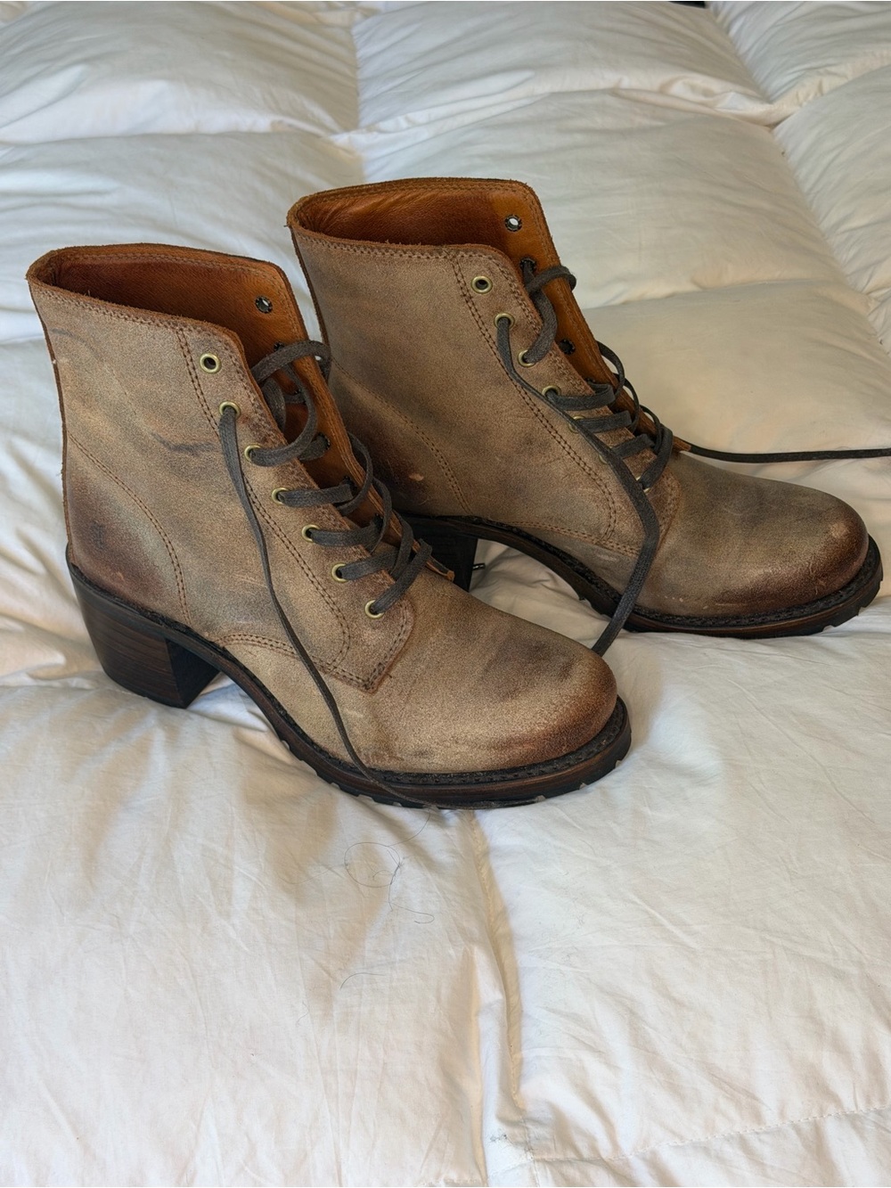Frye Women's Lace-Up Leather Ankle Boots in Taupe Brown